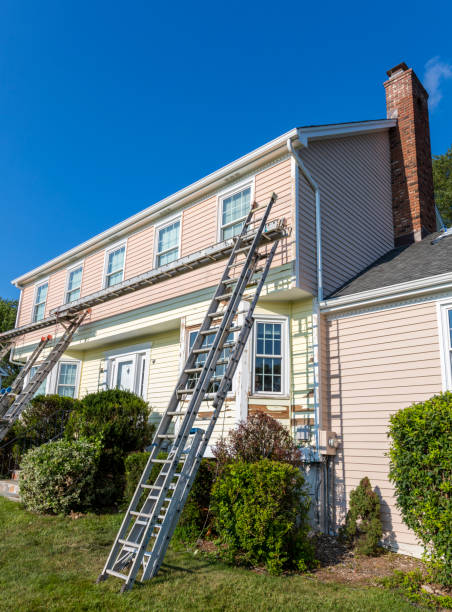 Best Yard Waste Removal  in Lexington, MO